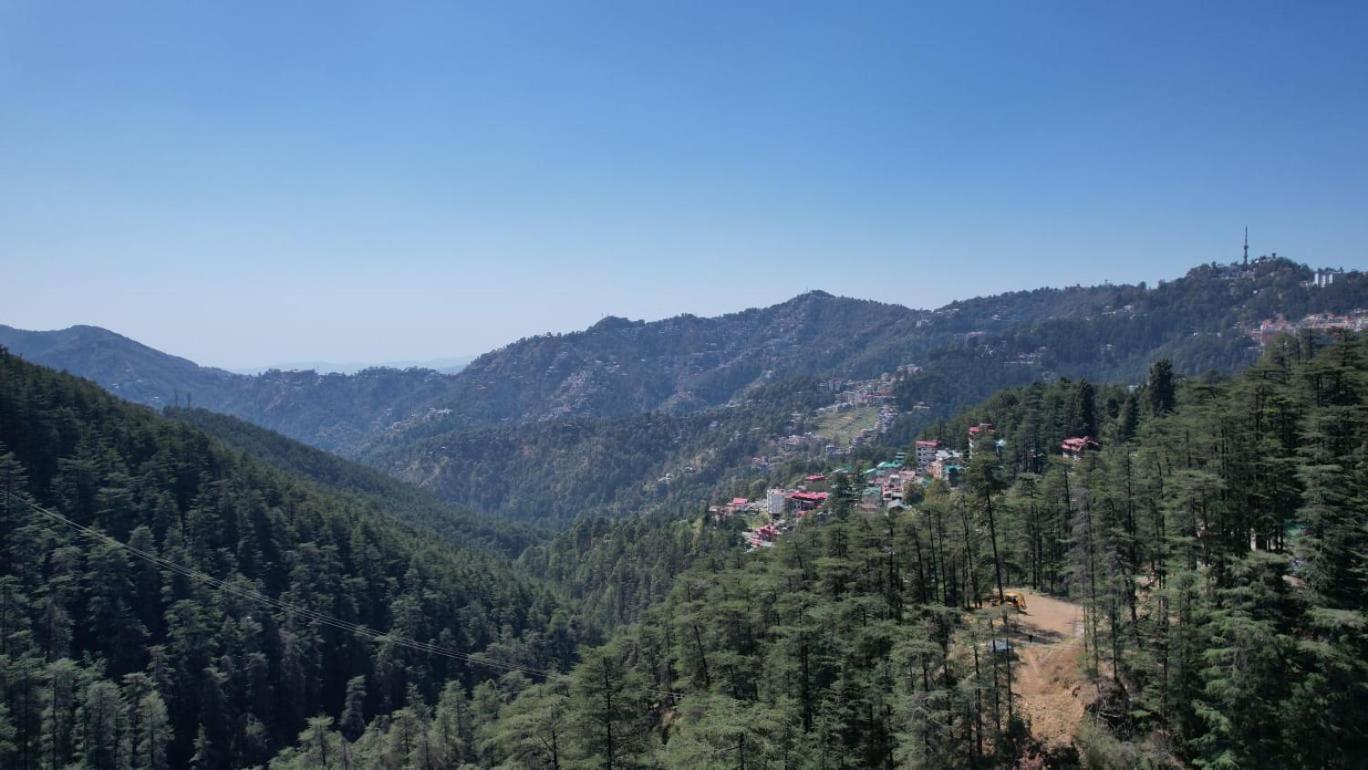 Himalayan Roots