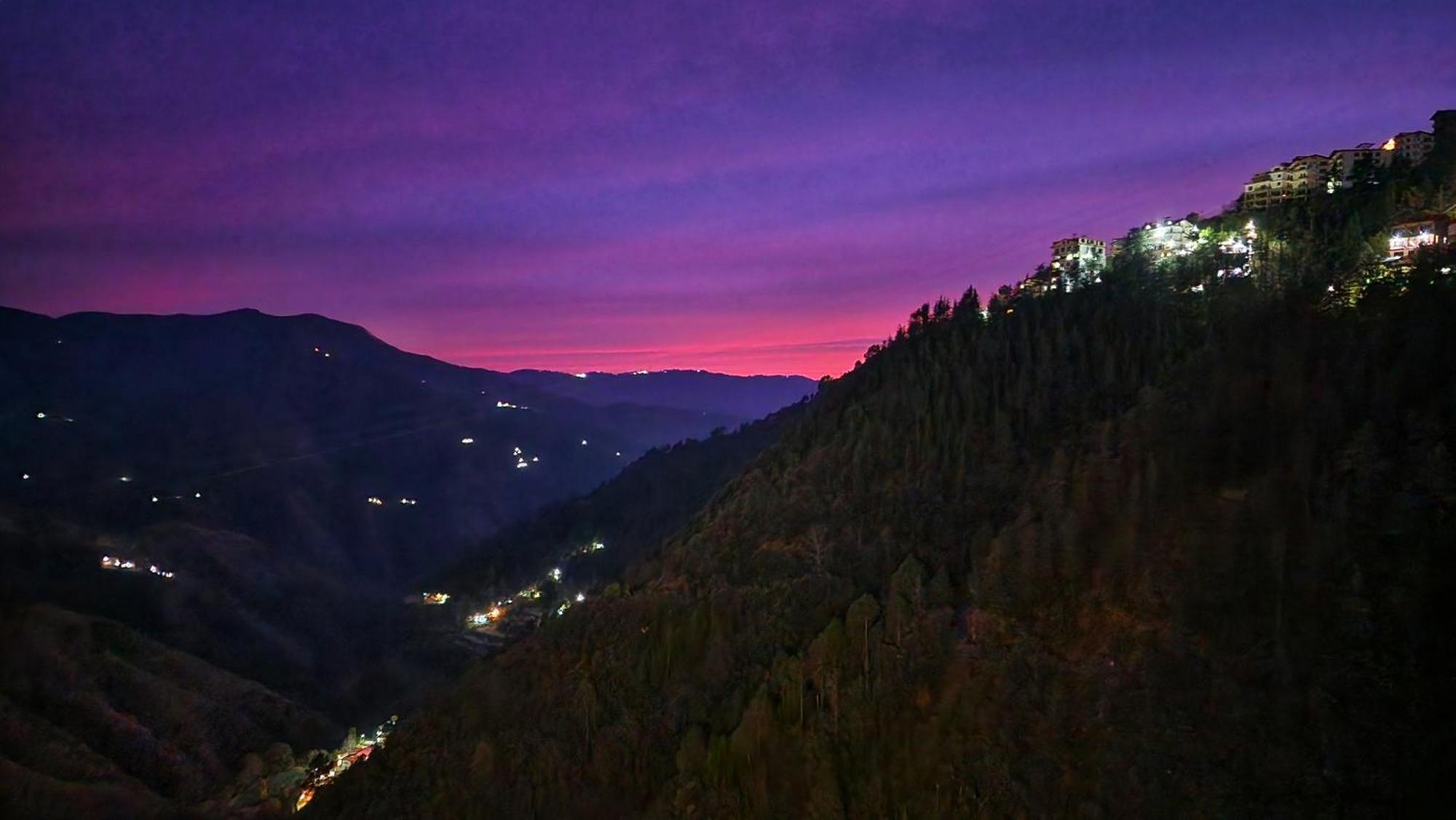 Royal Cedar Homestay Shimla