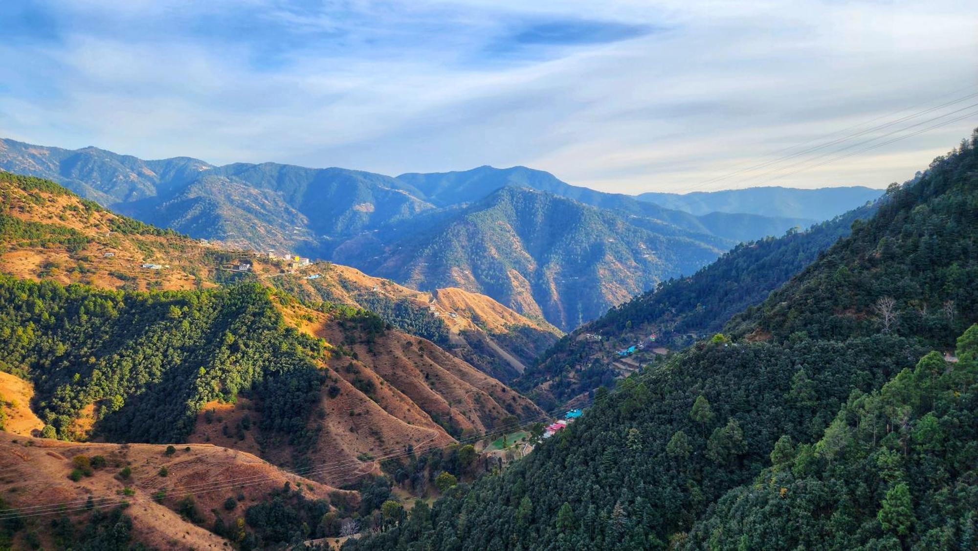 Royal Cedar * Shimla