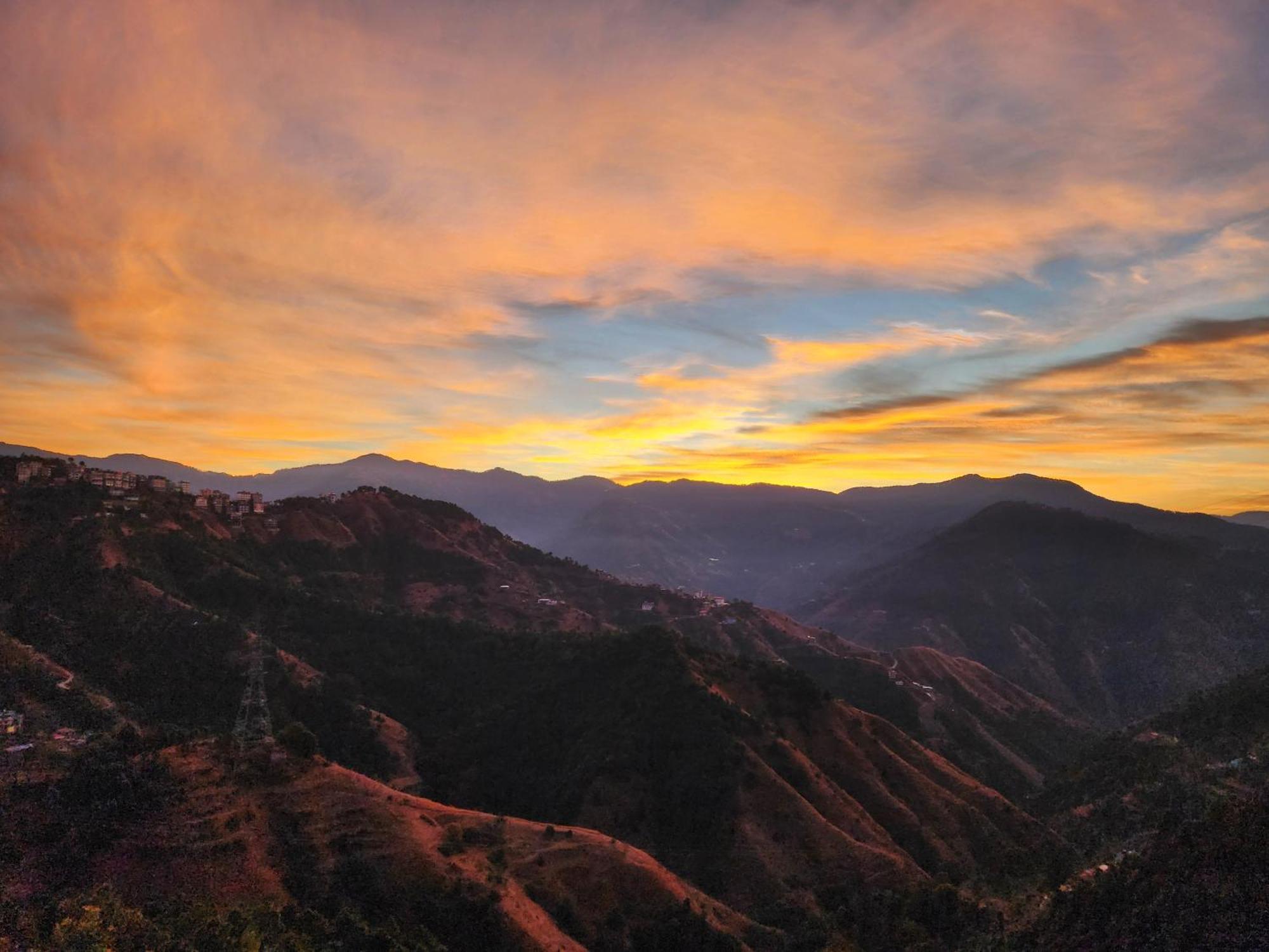 Homestay Royal Cedar Shimla