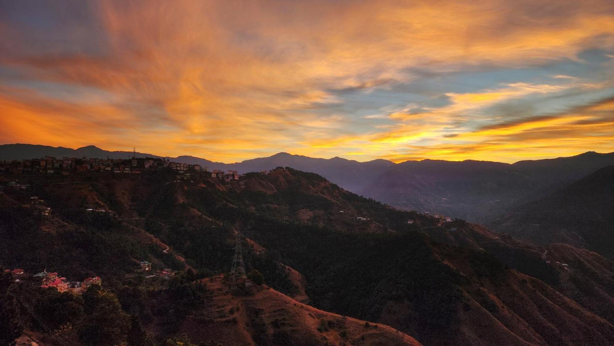Royal Cedar Shimla