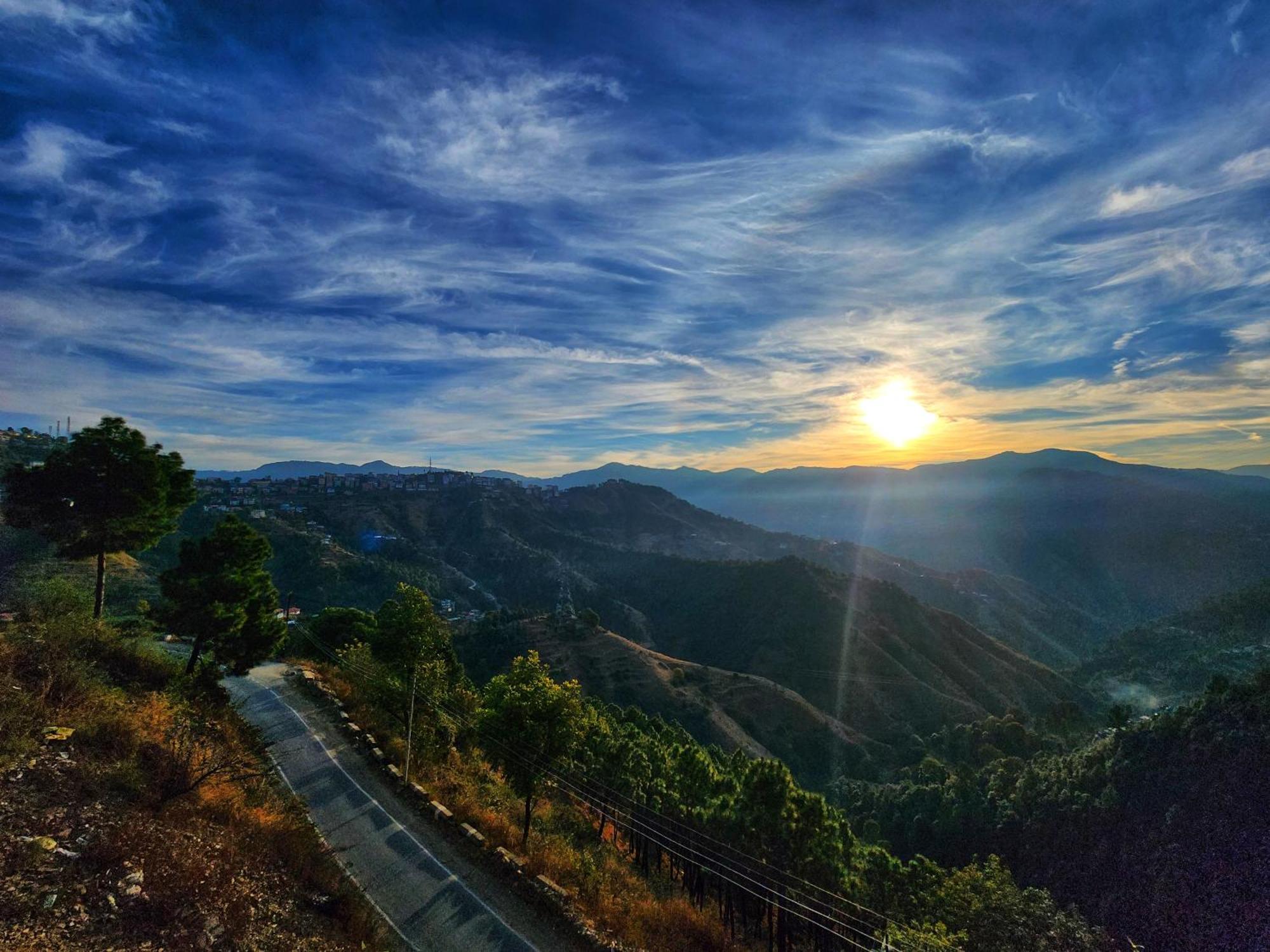 Royal Cedar Homestay Shimla