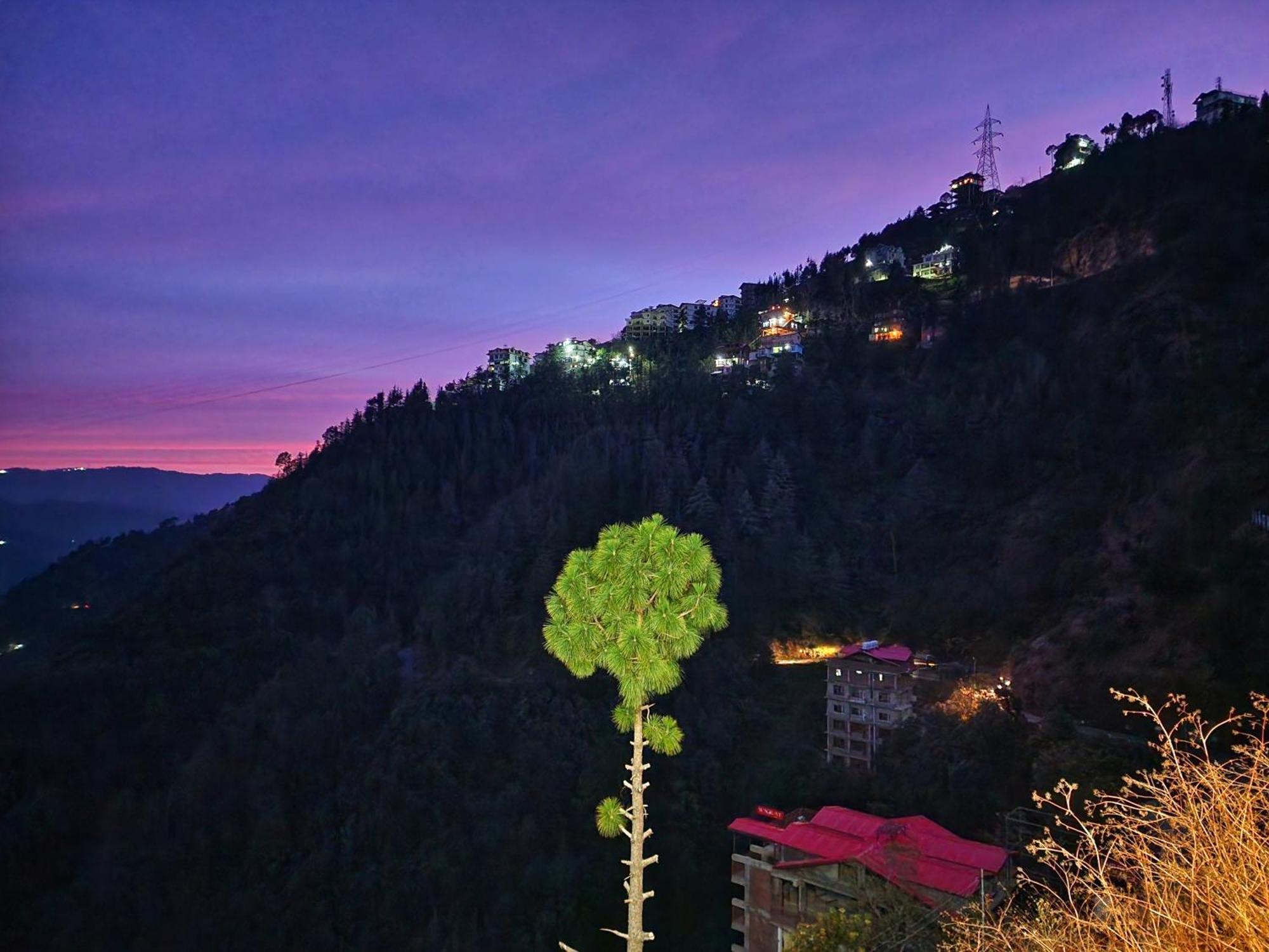 Royal Cedar Homestay