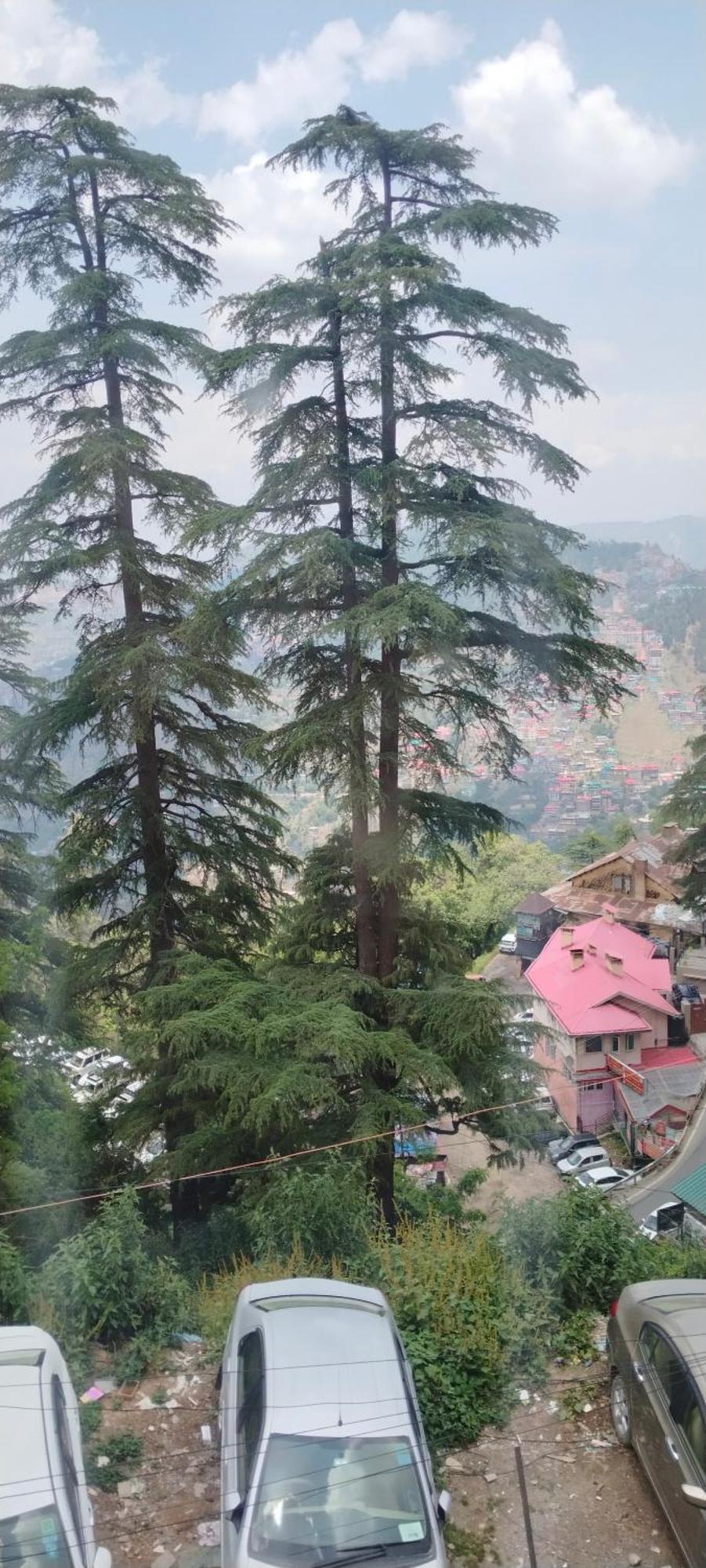 Krishna Hill Near Mall Road Shimla