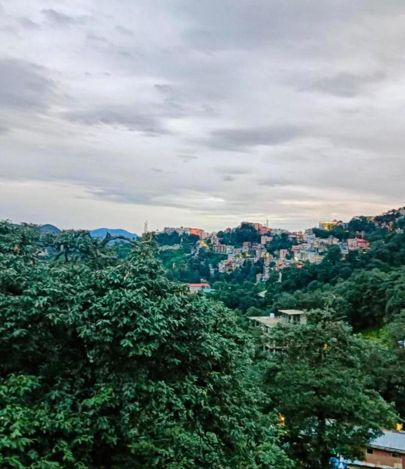 The Boho Bed & Breakfast Shimla