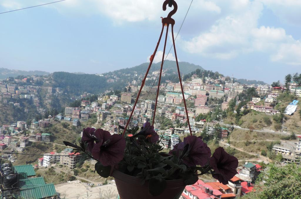 View Bed & Breakfast Shimla