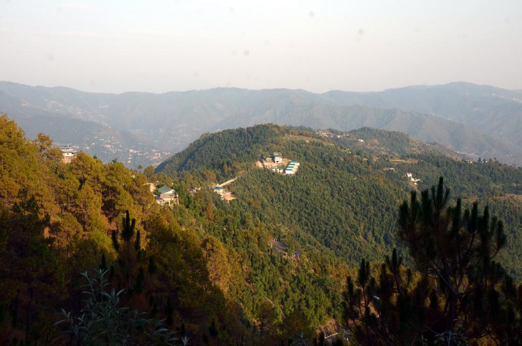 Woodsmoke Retreat Resort 4*