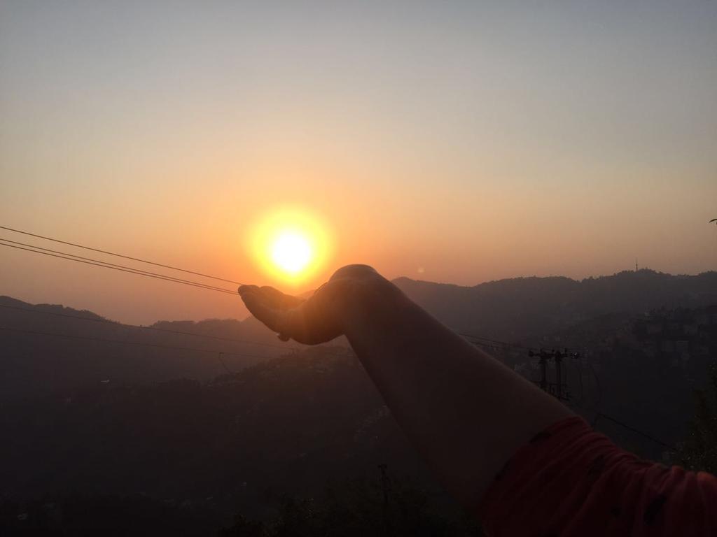View