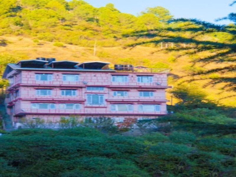 Oyo 14106 Exotic Hill View Shoghi Homestay