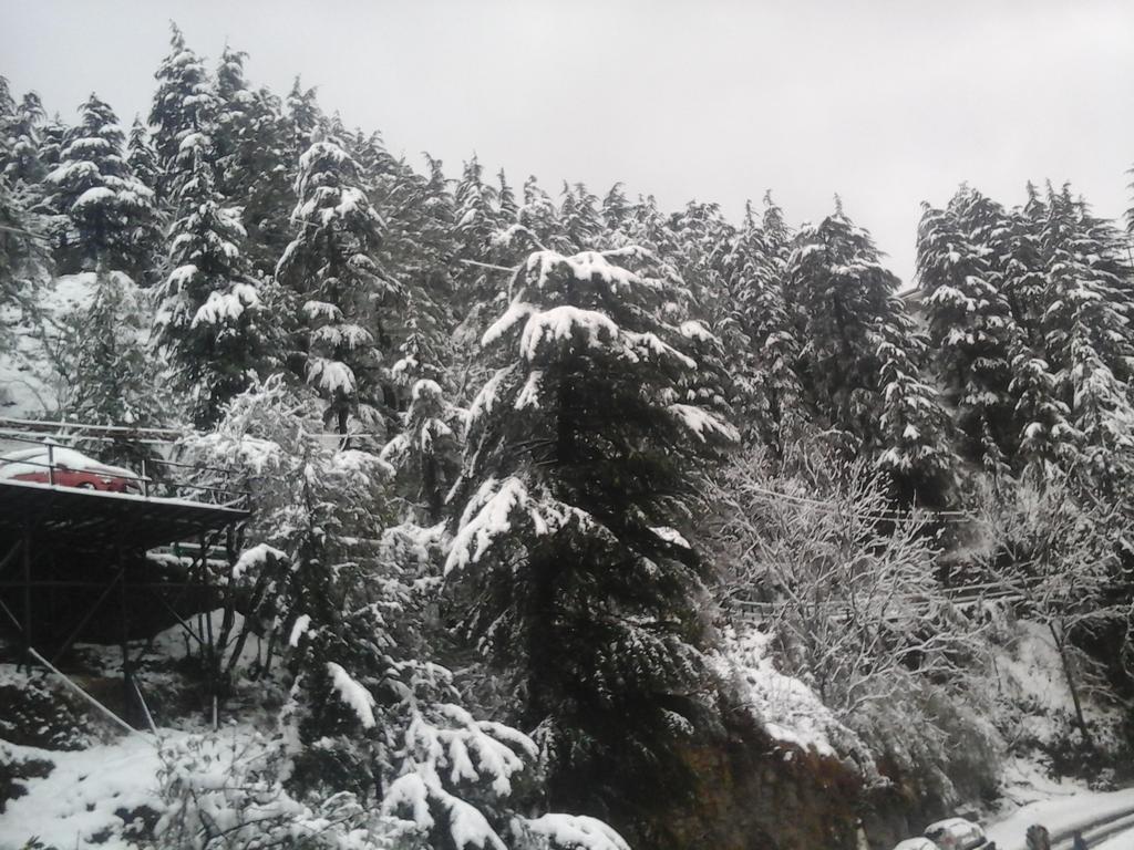 Bed & Breakfast View