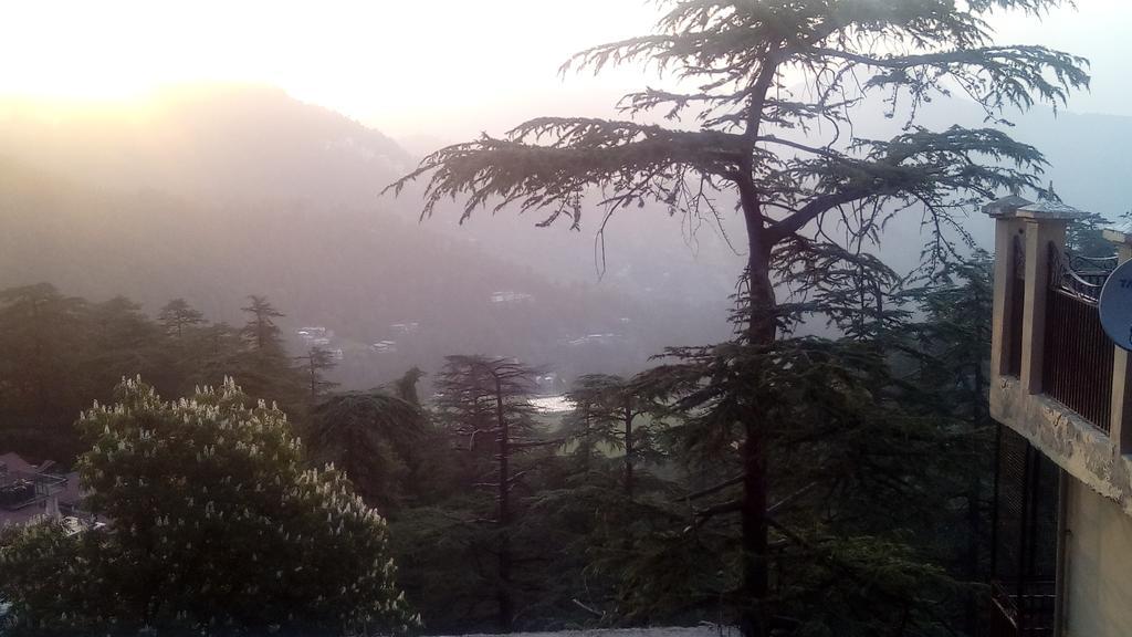 Apna Ghar * Shimla