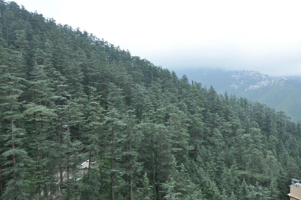 Vipul Shimla