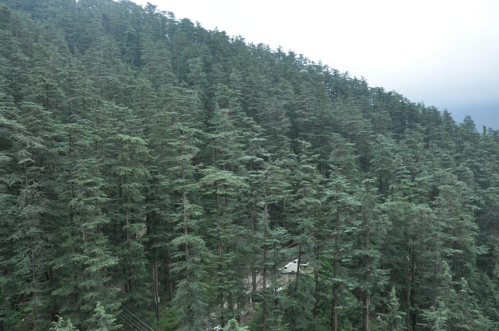 Dev Homestay Shimla