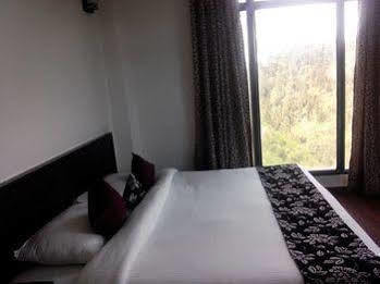 Hotel Tethys Narkanda 3*