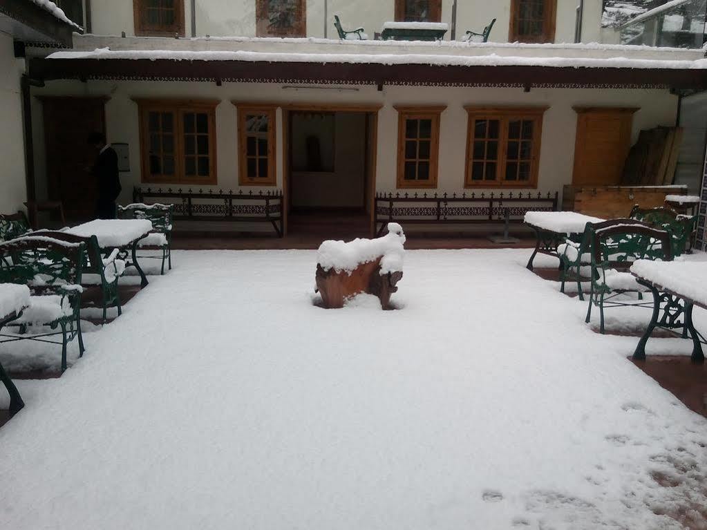 Lodge Torrentium Shimla