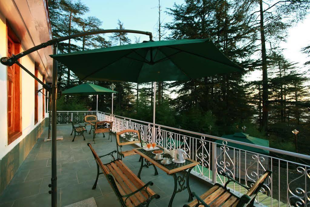 Torrentium Shimla