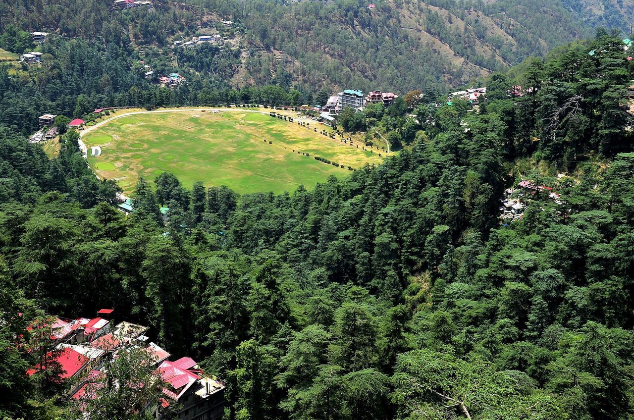 Annadale View * Shimla
