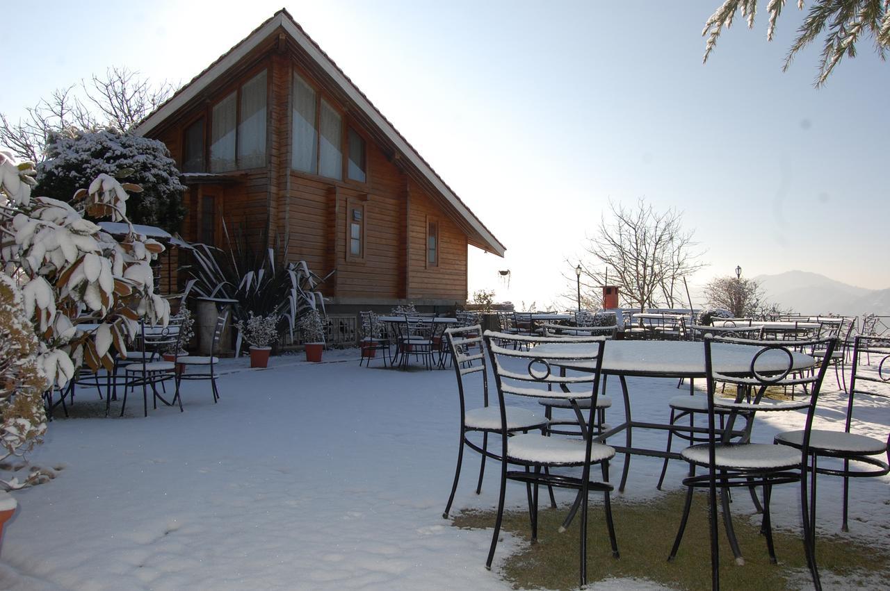 Resort The Naldehra