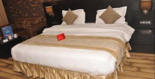 Gulmarg Regency 2* Shimla