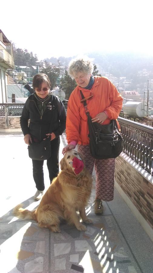 The Thistle Bed & Breakfast Shimla