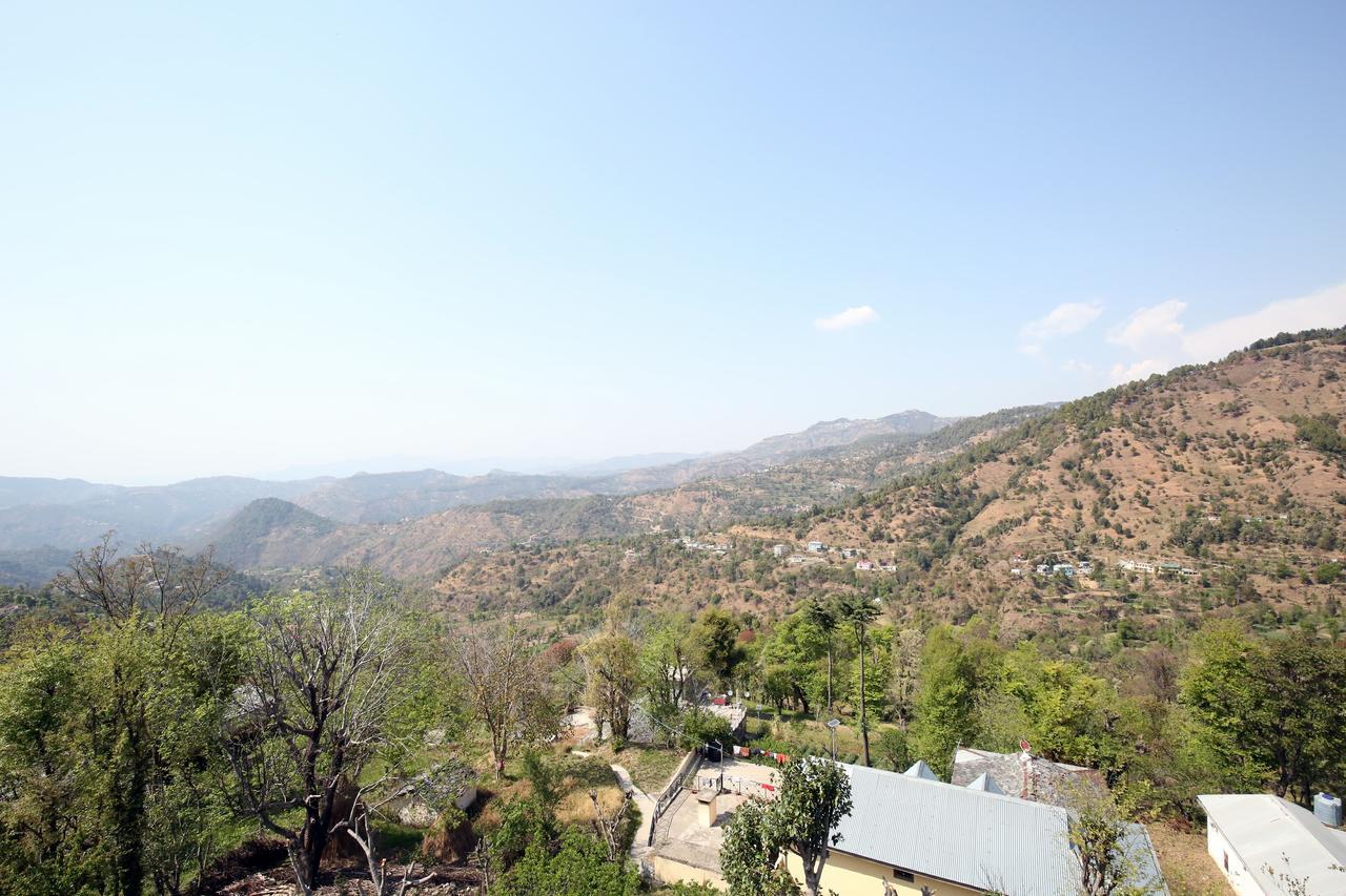 Oyo 12795 Down Hill Shoghi Apartment