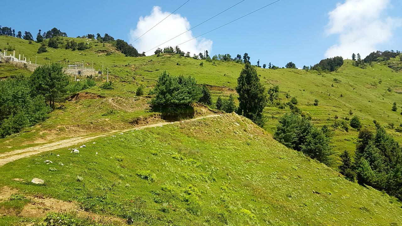 Hawk Eye Shimla