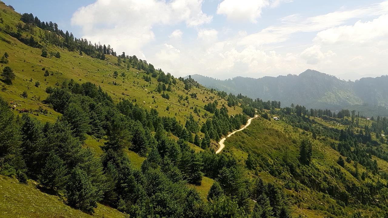 Hawk Eye * Shimla