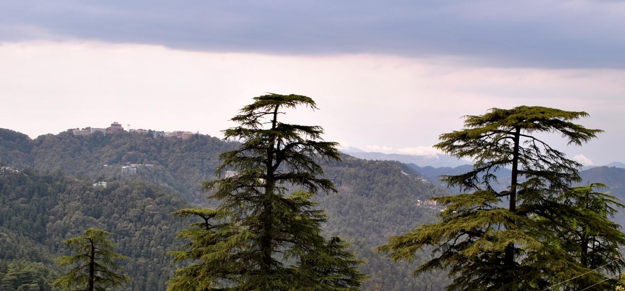 Lords Regency 3* Shimla
