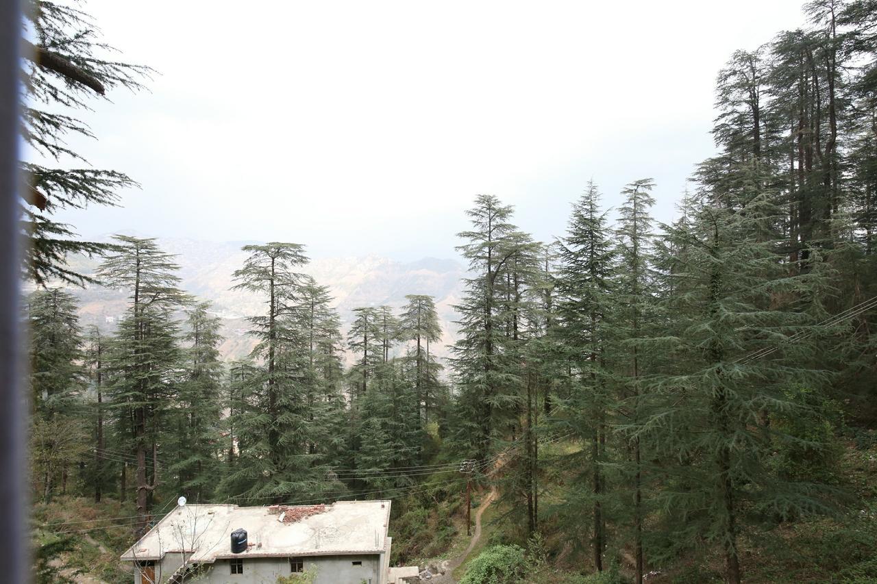 Apartment Oyo 12698 Nature View Kasumptti Shimla
