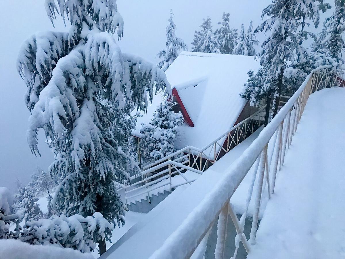 Kvr Clarks Inn, Kufri