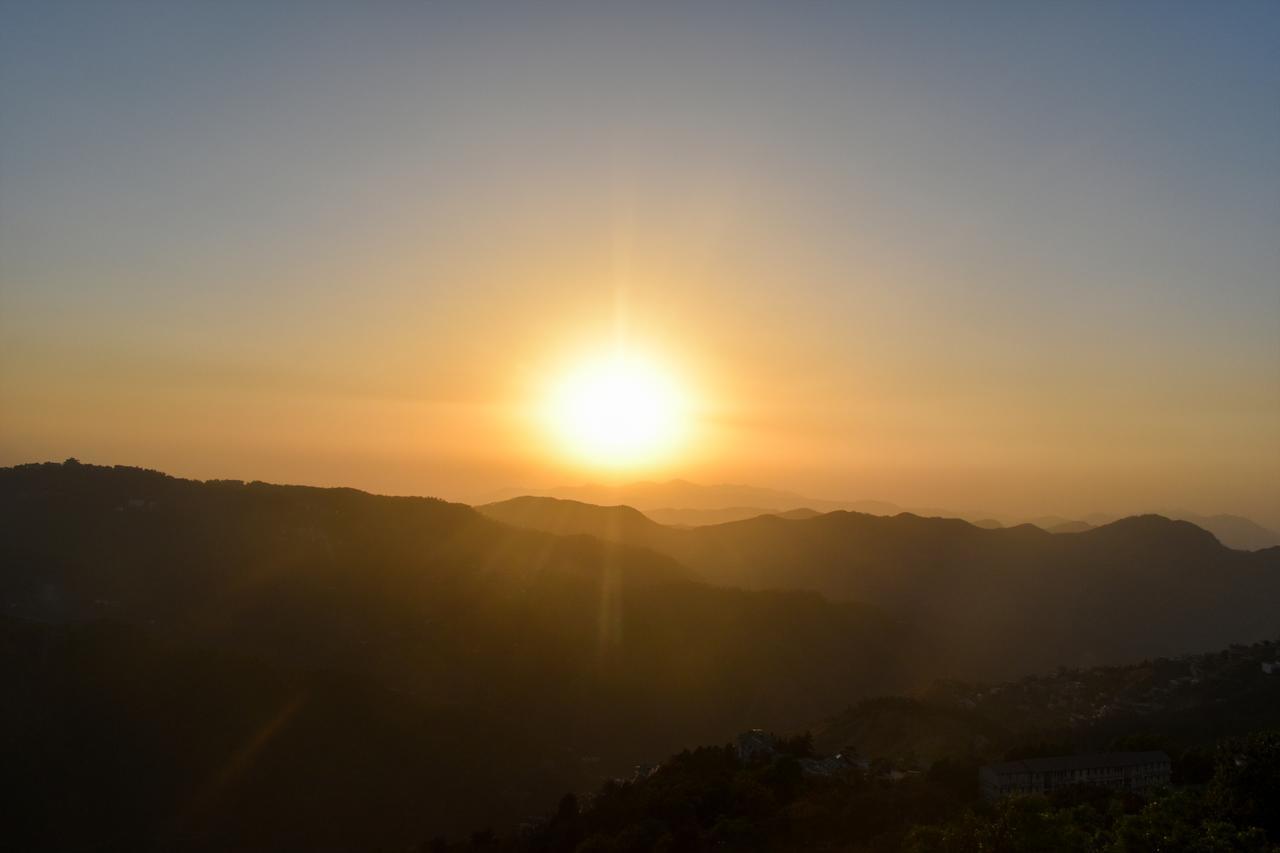 Dhanlaxmi * Shimla