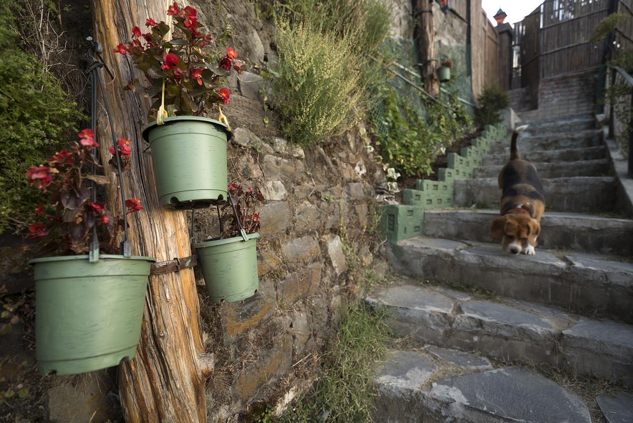 Meena Bagh Bed & Breakfast Shimla