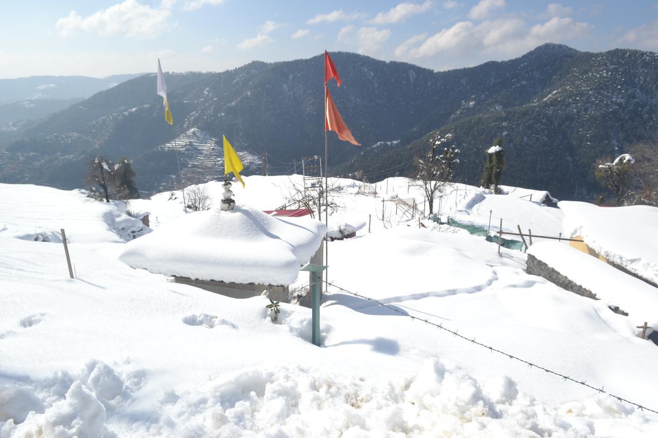 Resort V Nature Heaven Koti
