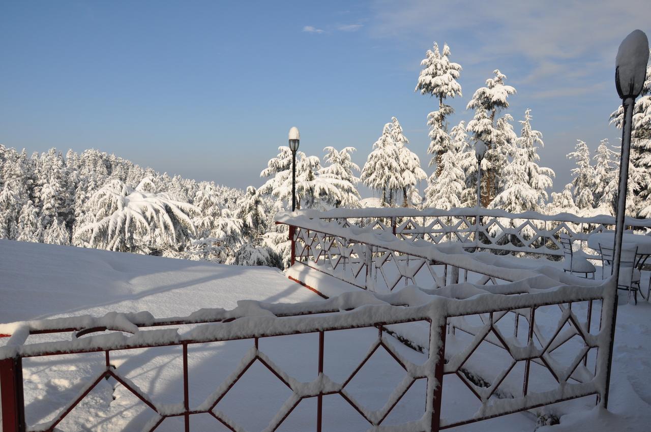 Resort The Naldehra 4*