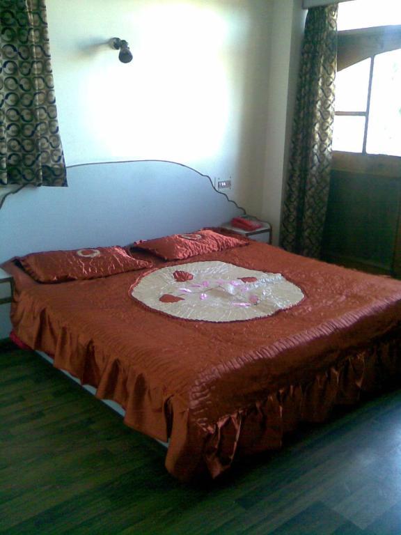 Blue Diamond * Shimla