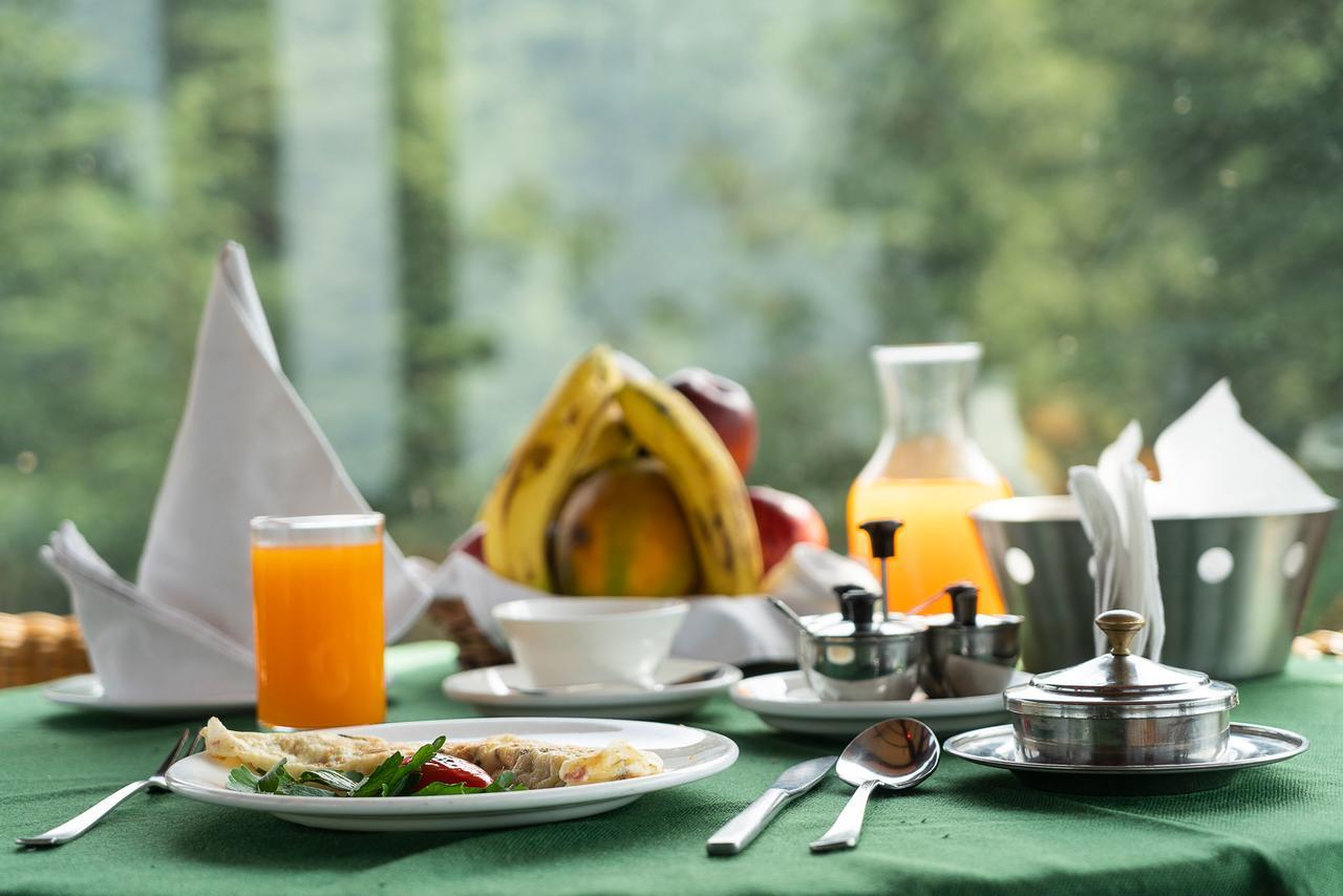 Resort The Naldehra