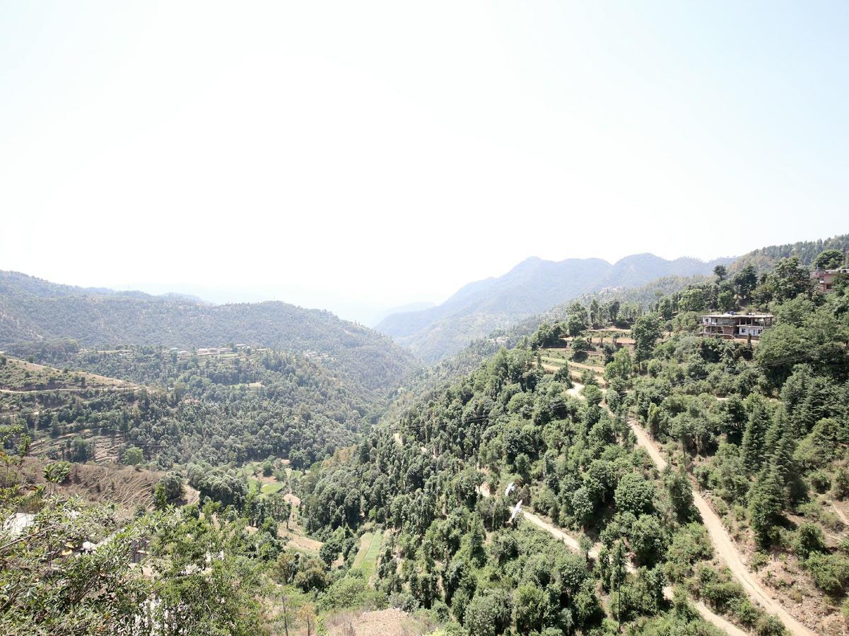 Oyo 14106 Exotic Hill View Shoghi Homestay *
