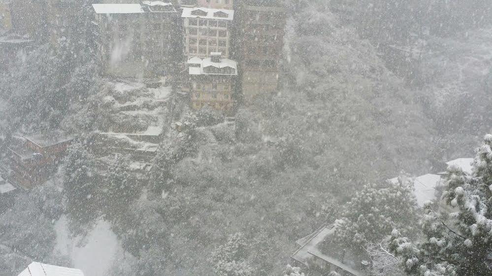 Snow Valley Hotel Shimla
