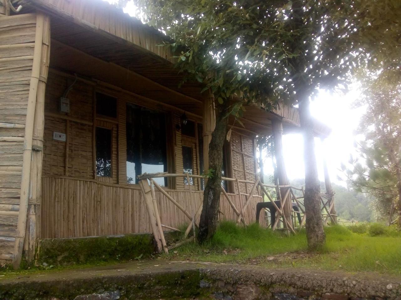 Century Highland Lodge