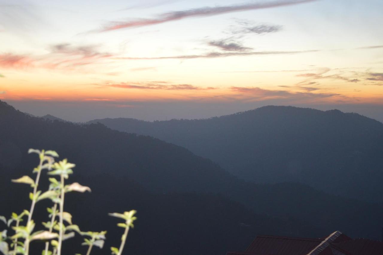 Resort Spangle Heights Shimla, And Residences Shimla