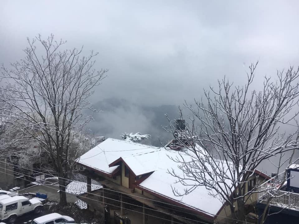 Cosmos Shimla