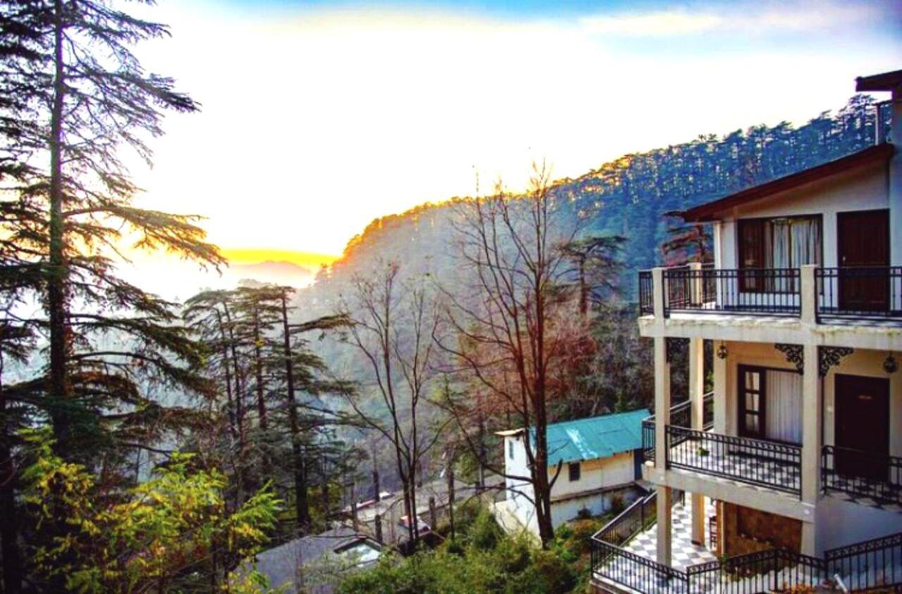 Bed & Breakfast The Pine Estate Shimla