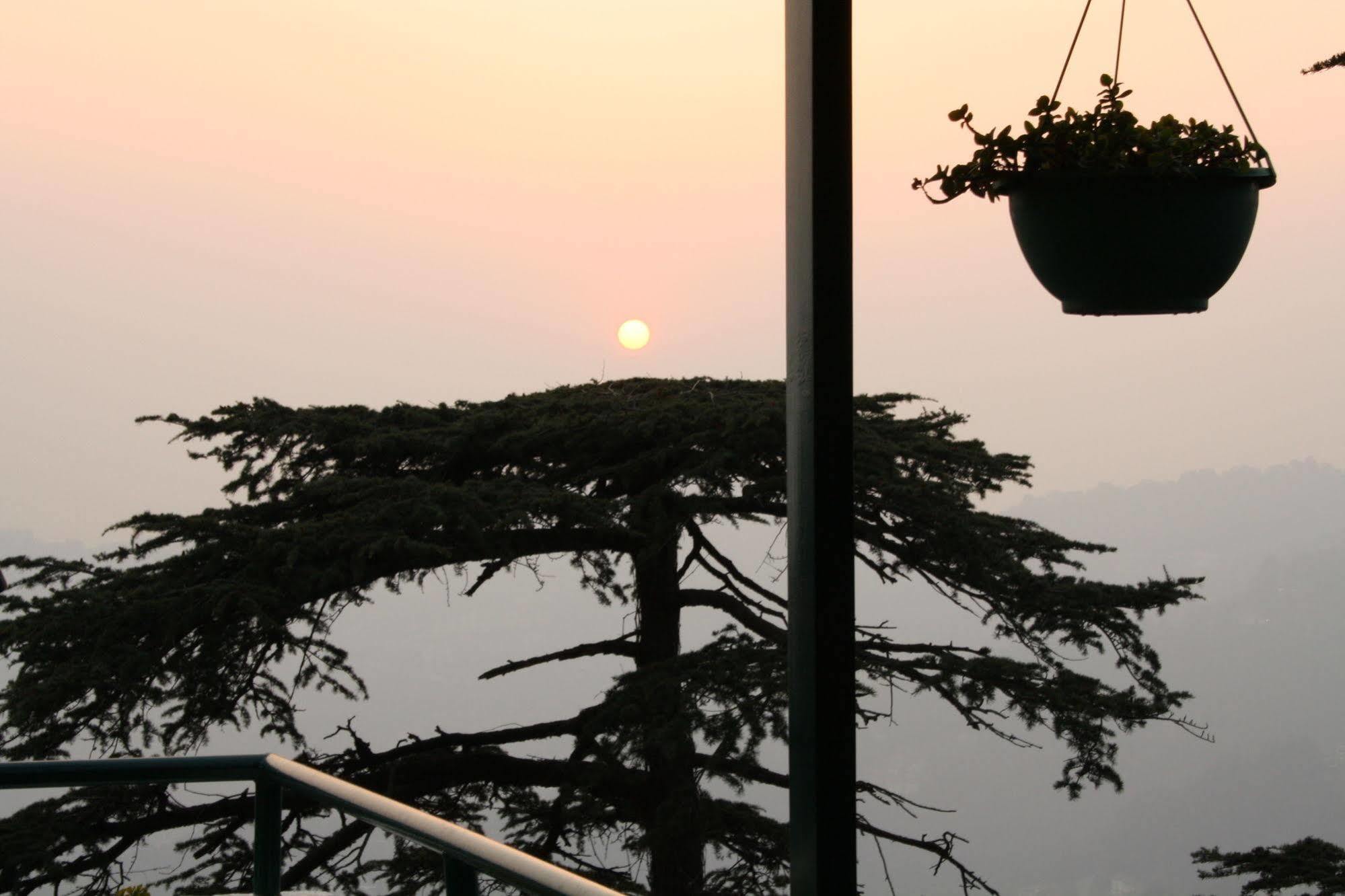 Honeymoon Hotel Shimla