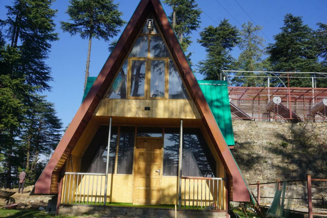 The Alpine Woods *