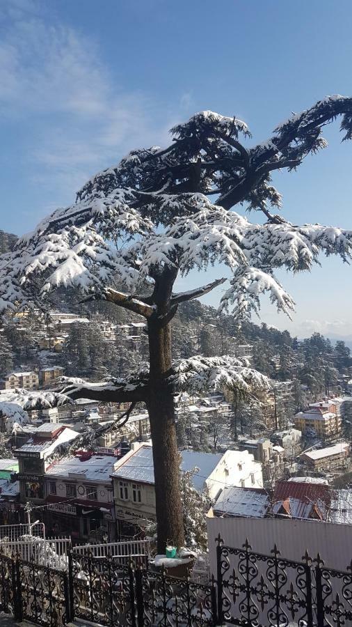 The Pine Residency Shimla