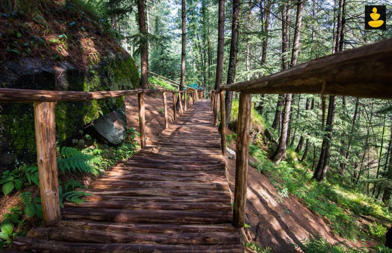 Chalet Livingstone Ojuven Treehouses Shimla