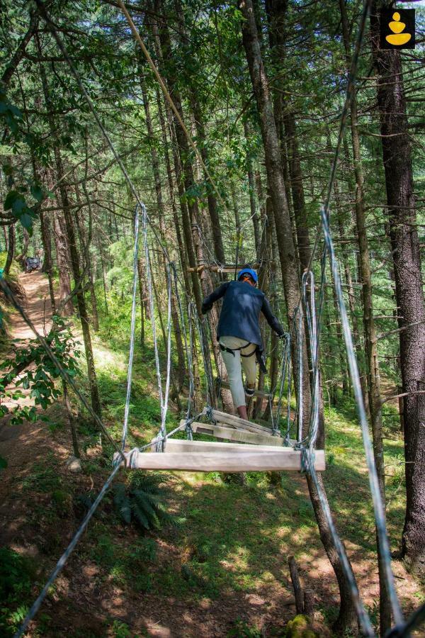 Chalet Livingstone Ojuven Treehouses Shimla