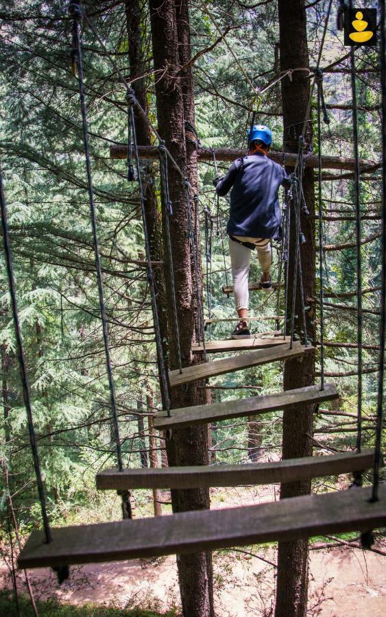 Livingstone Ojuven Treehouses *