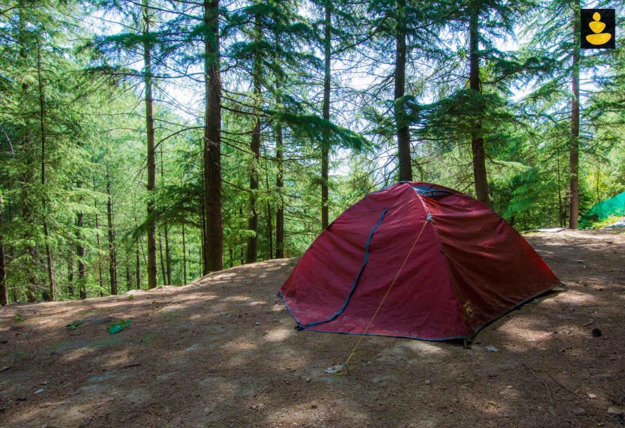 Livingstone Ojuven Treehouses Shimla