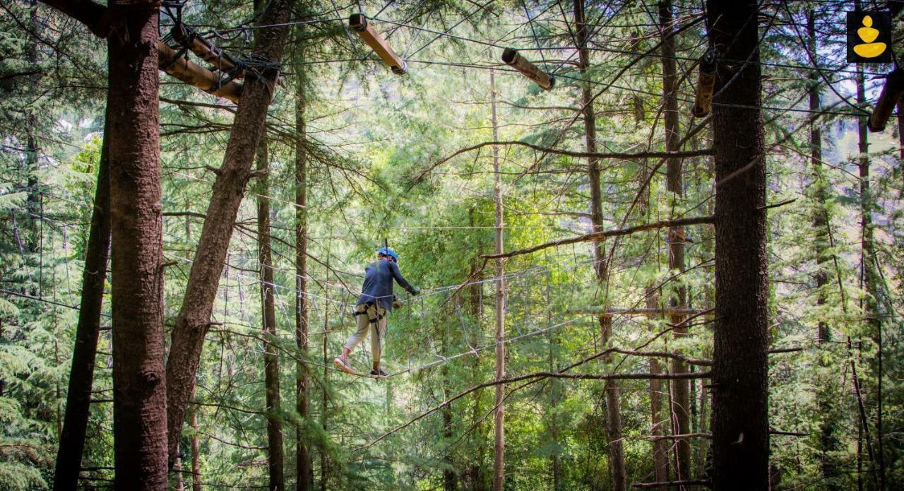 Livingstone Ojuven Treehouses Shimla